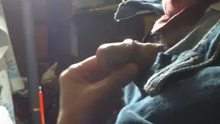 deepthroating blowjob
